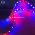 የመሬት ገጽታ ተለዋዋጭ የ DMX RGB ገመድ መብራት